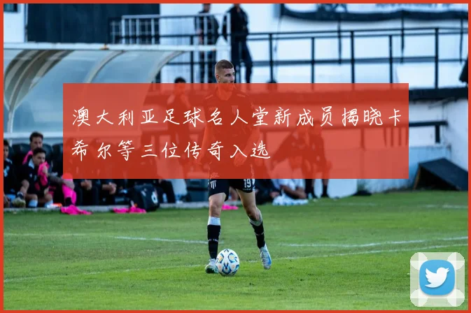 澳大利亚足球名人堂新成员揭晓卡希尔等三位传奇入选