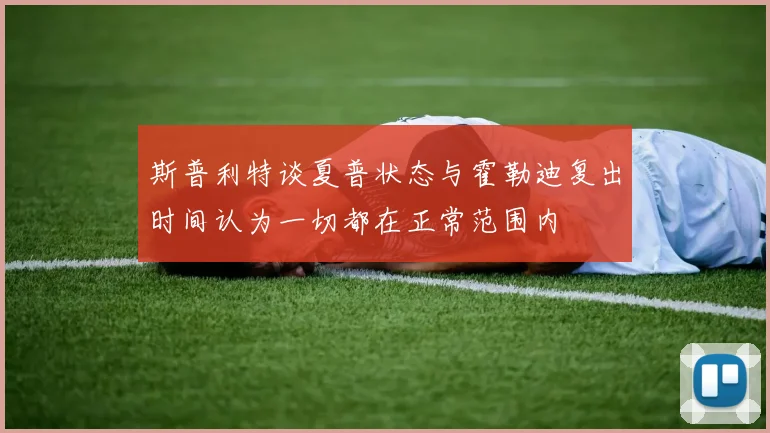 斯普利特谈夏普状态与霍勒迪复出时间认为一切都在正常范围内