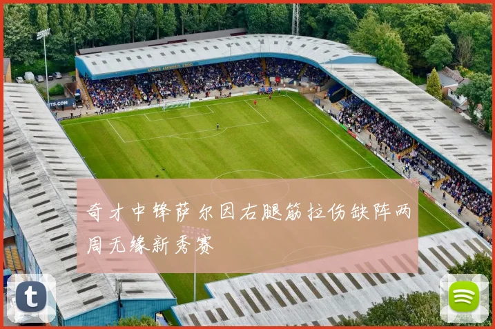 奇才中锋萨尔因右腿筋拉伤缺阵两周无缘新秀赛