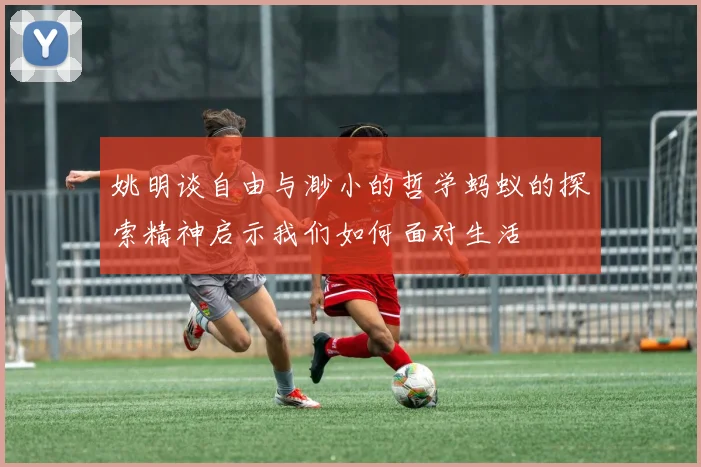 姚明谈自由与渺小的哲学蚂蚁的探索精神启示我们如何面对生活