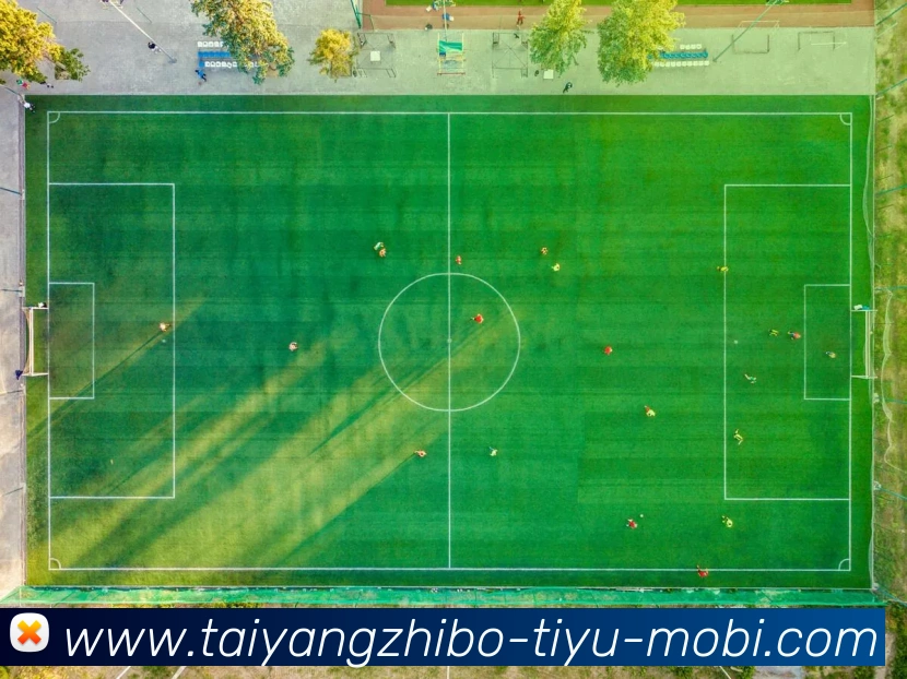 太阳城服务体系